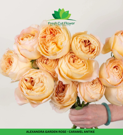 Columbian Roses - Caramel Antike