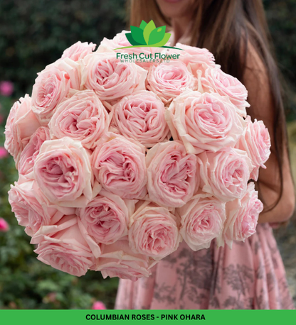 Colombian Garden Roses