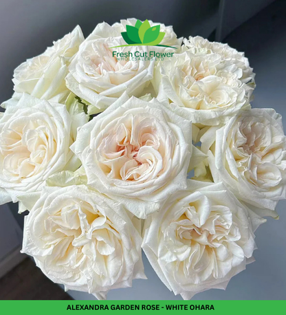 Colombian Garden Roses