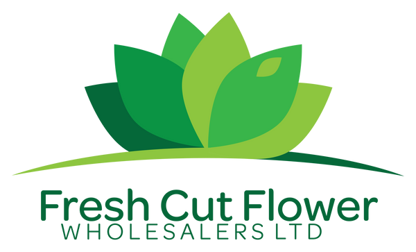 Fresh Cut Flower Wholesalers