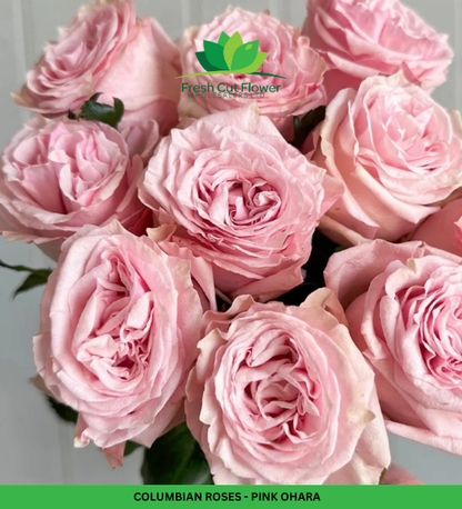 Colombian Garden Roses