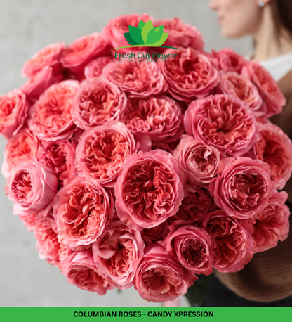 Colombian Garden Roses
